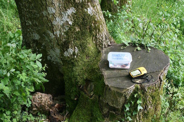 geocache en fôret