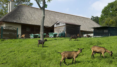 ferme pédagogique-Mont-Valérien