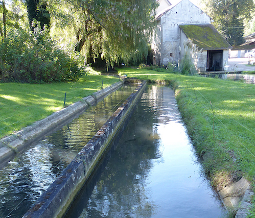 Idées de sorties-paris-alouest-pisiculture-Villette