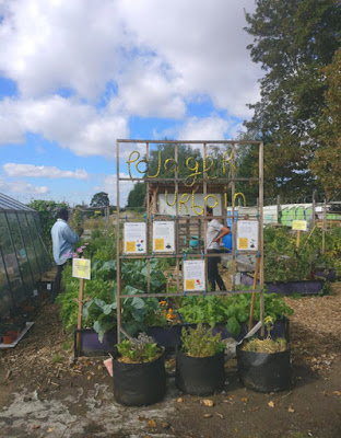 Jardin urbain, partagé- Paris à l'ouest-potager