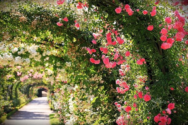 Top-des-jardins-autour-de-Paris