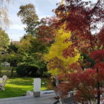 L'automne au jardin