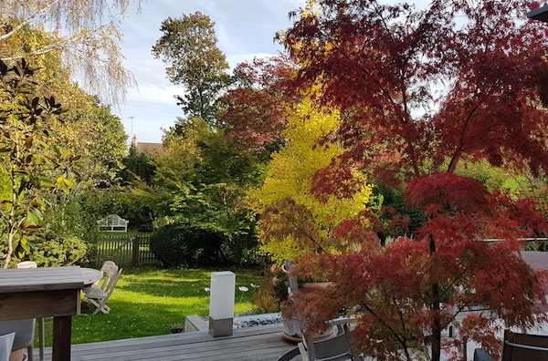 L'automne au Jardin. Belles couleurs.