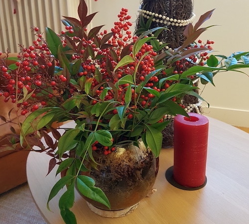 Bouquet du Nandina Domestica pour les fêtes de fin d'année