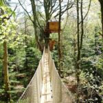 Cabane perchée au château de Kermenguy