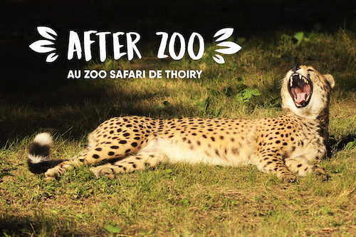 After Zoo au Zoo de Thoiry