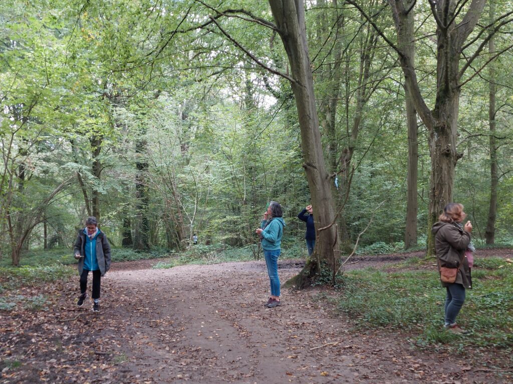 Balades en forêt