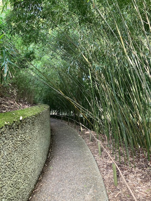 Bambouseraie Parc de Bagatelle