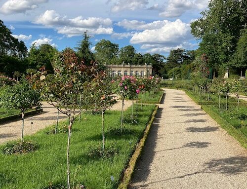 La Roseraie du parc de Bagatelle