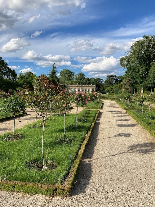 Roseraie Parc Bagatelle