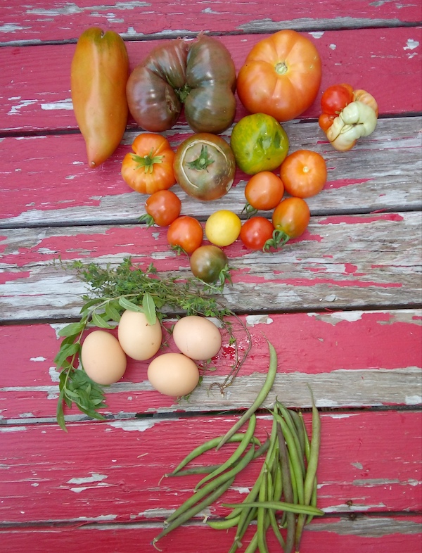 Fabrik Nature potager
