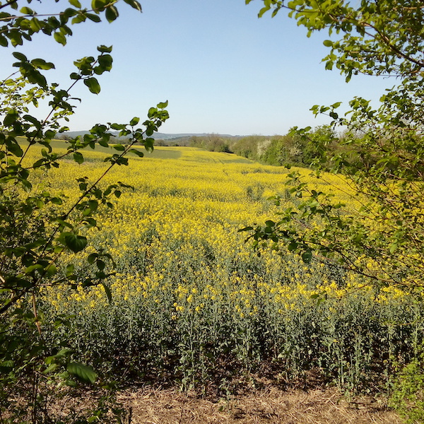 Fabrik Nature campagne