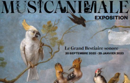 Expo Musicanimale "le grand bestiaire sonore" à la Philharmonie de Paris