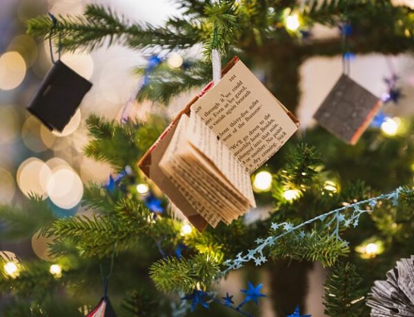 Livres-cadeaux-de-noel