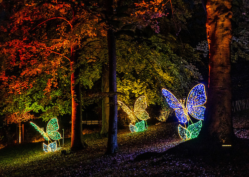 Lumières en Seine au parc de Saint-Cloud