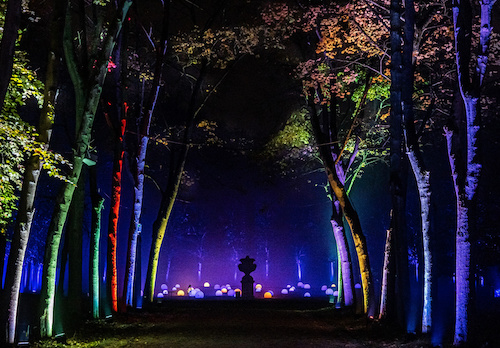 Lumières en Seine au parc de Saint-Cloud. Spectacle familial pour les vacances de Noël