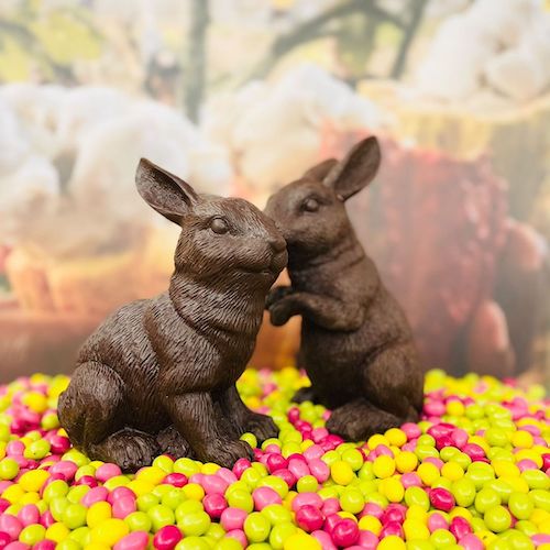 Artisan-du-Chocolat-Evecquemont-lapin-Paques