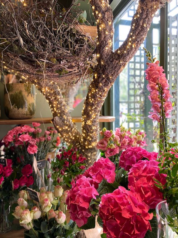 Le Jardin de Marius. Fleuriste et Paysagiste de Garches