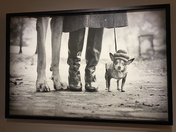 Exposition Photo Elliott Erwitt. Musée Maillol. Paris 