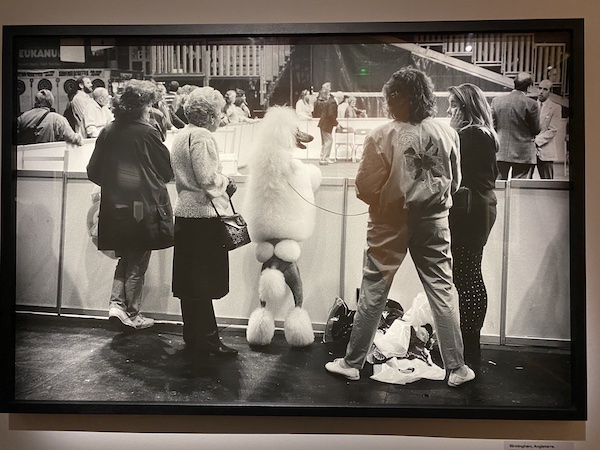 Exposition Photo Elliott Erwitt. Musée Maillol. Paris.Le Top 7 de nos virées parisiennes  