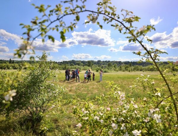 Le-Parc-du-Peuple-de-l-herbe