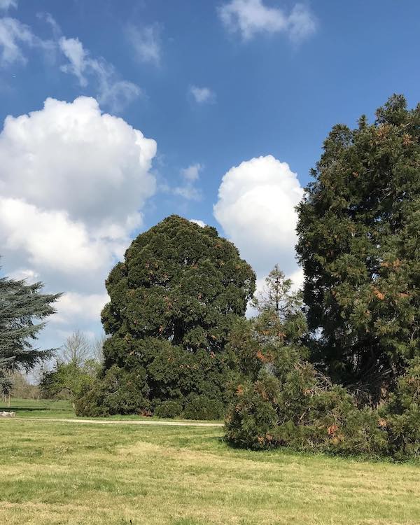 Le Top 7 des jardins remarquables : Arboretum de Chèvreloup