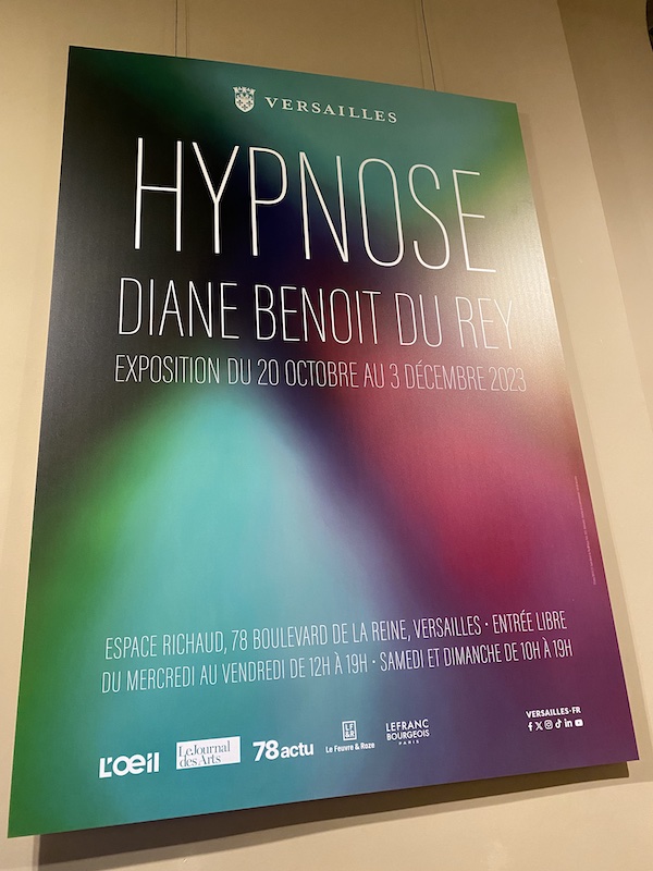 Exposition de Diane Benoit de Rey, artiste versaillaise à l'Espace Richaud