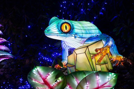 Halloween et Lumières sauvages de Thoiry. Spectacle pour enfants.