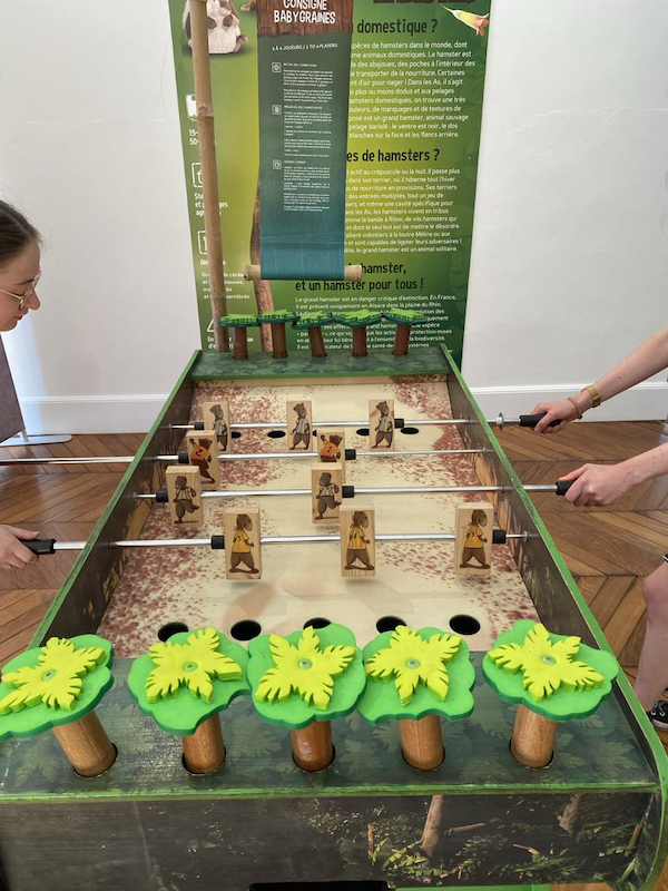 Expo immersive et ludique pour enfants : L'As de la jungle à Croissy