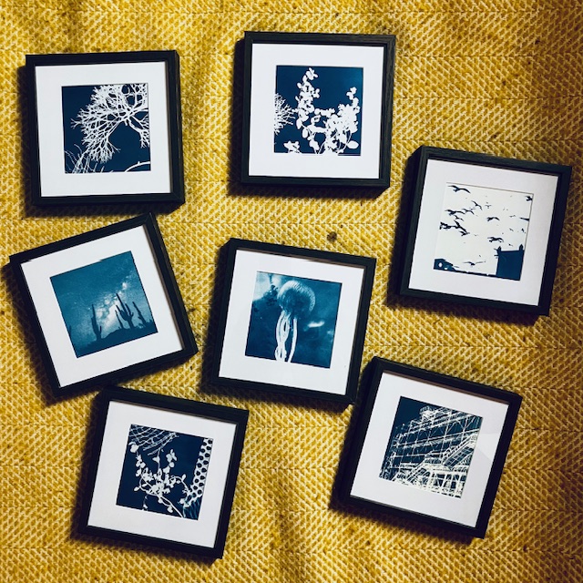 Dessin de Chrisnoti. Cyanotype