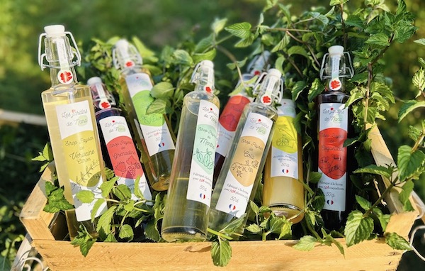 Marché de Noël 2025. Créateurs et artisans coup de coeur locaux
Les Jardins de Nana