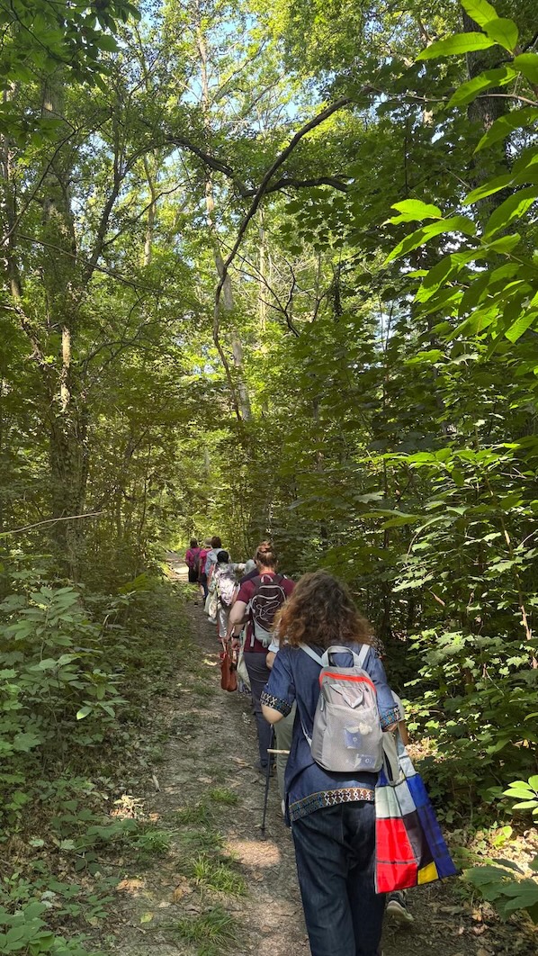 Foret-departementale-Grands-Bois-a-Morainvilliers-5