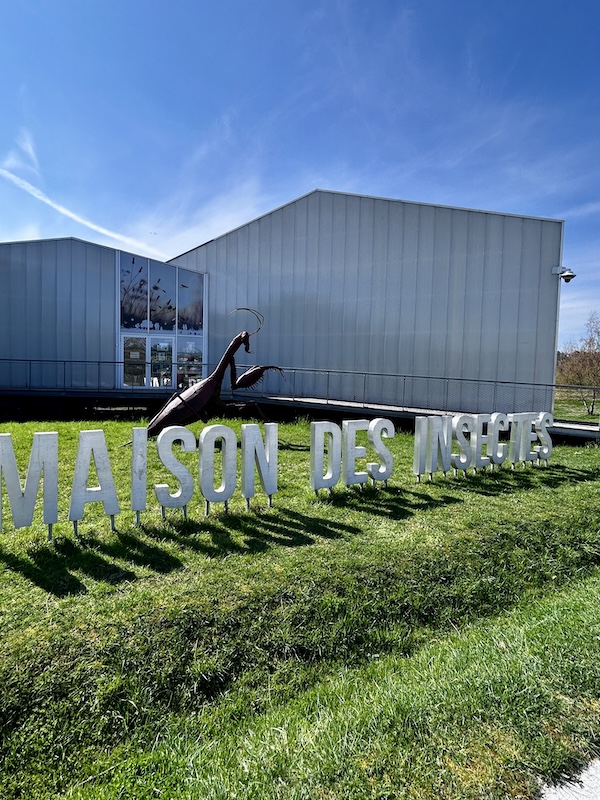 Idée de sortie dans les Yvelines : Maison des Insectes