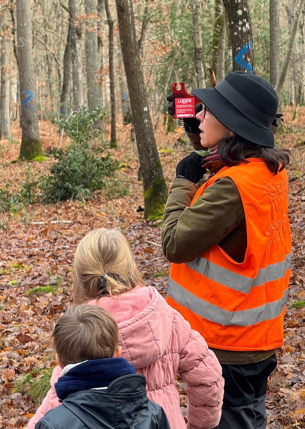 Balade en forêt de Rosny