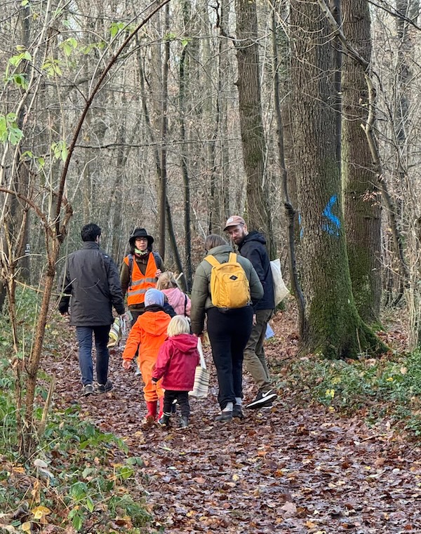 Balade en forêt de Rosny