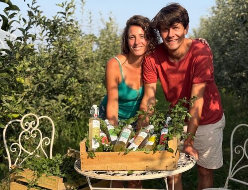 Des sirops bio produits dans les Yvelines