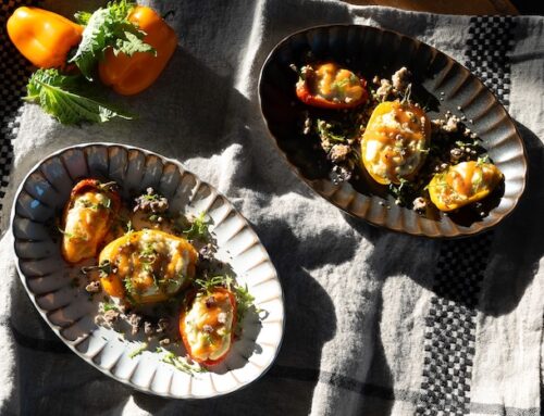 Mini poivrons farcis à la ricotta, parmesan