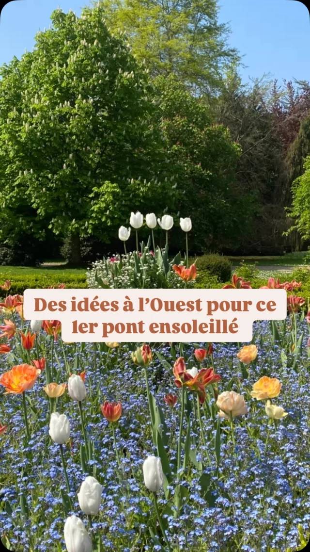 🌳Des idées de sorties pour profiter du beau temps du premier pont de mai avec une petite sélection de parcs et de châteaux aux alentours ☀️😎🌼
@hangar_y_ 
@domaine.dampierre 
@maisonjardinsclaudemonet 
@museemauricedenis 
@villasavoyeofficiel 
@chateaudelarocheguyon 

Et bien d’autres sur le site. 🤩 Voir le lien dans la bio. 

#parisalouest #destinationyvelines #destinationhautsdeseine #valdoisetourisme #parc #exploreiledefrance #iledefrance #givernymonet